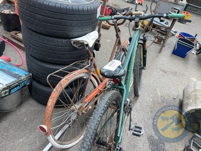 Raleigh Bicycle
