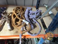 2 Cattle Halters