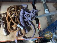 2 Cattle Halters - 2