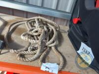 2x Cattle Halters - 2