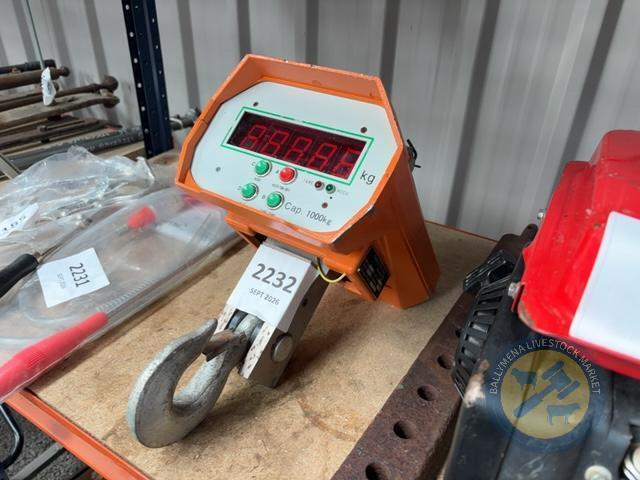 41 Tonne Weight Scales