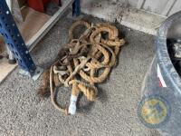 Job Lot Cattle Halters
