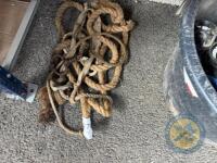 Job Lot Cattle Halters - 2