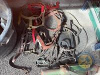 Horse Harness - 2