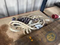 2x Cattle Halters