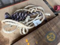 2x Cattle Halters - 2