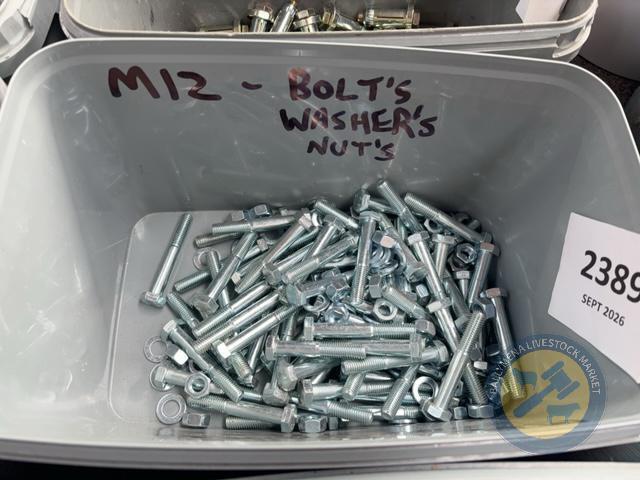 M12 Bolts and Washers