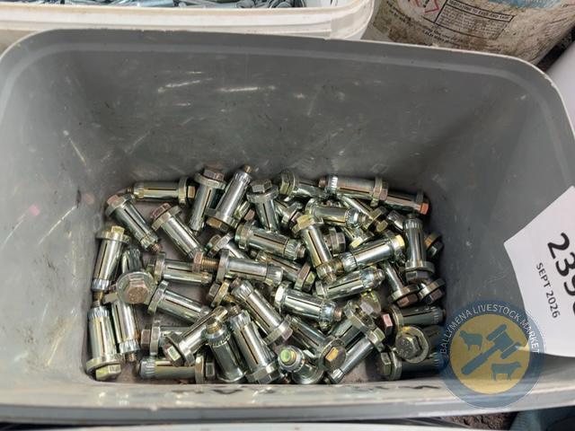 M12 Rawl Bolts