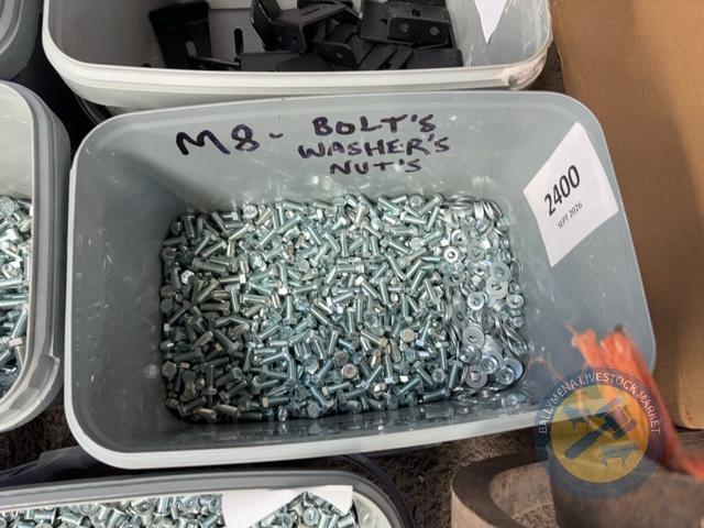 M8 Bolts