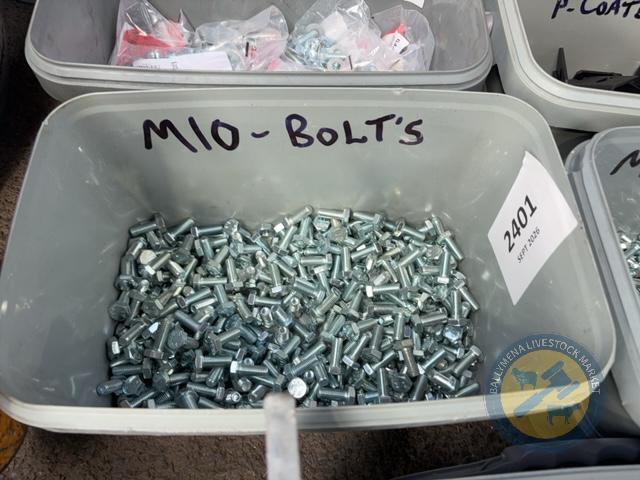 M10 Short Bolts