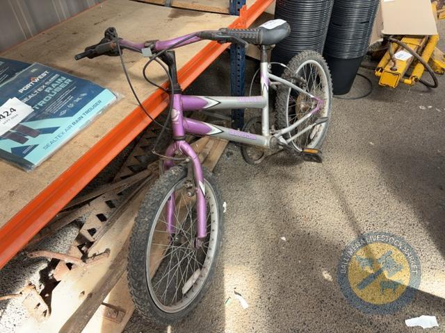 Indigo Bike