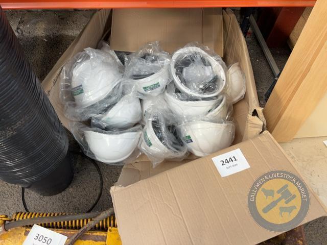 Quantity of White Safety Hats