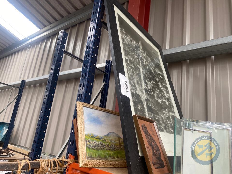 Pictures and Paintings
