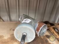 Feed Bin Dust