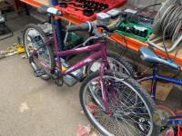 Indi Bike