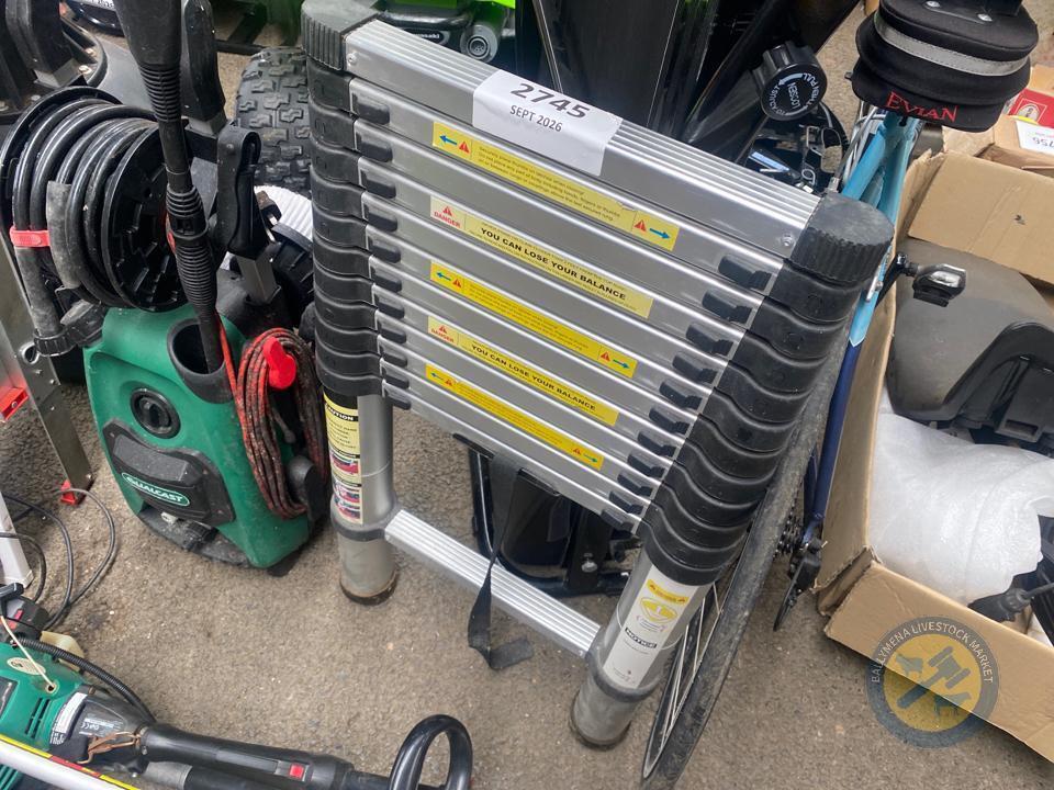 Telescopic Ladder