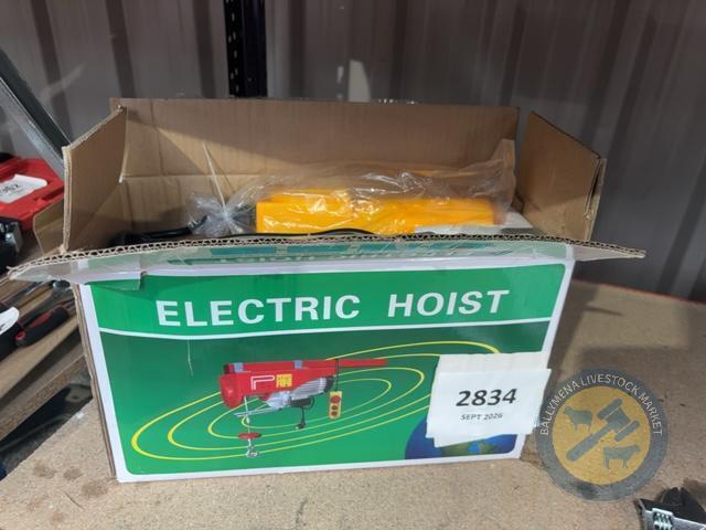 250kg electric hoist