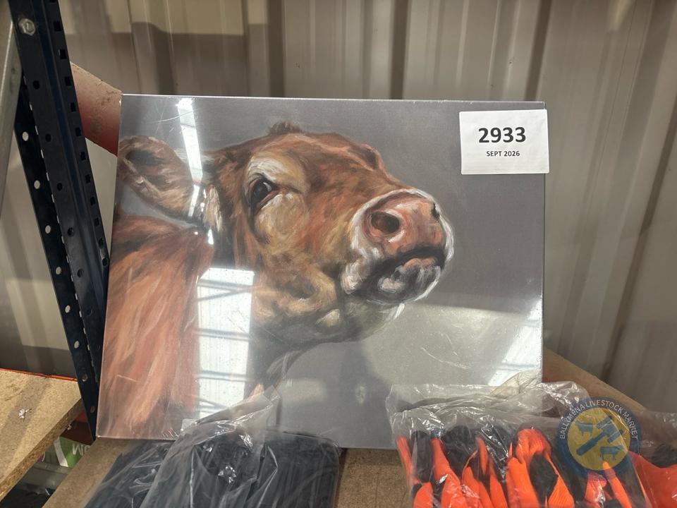 jersey cow picture