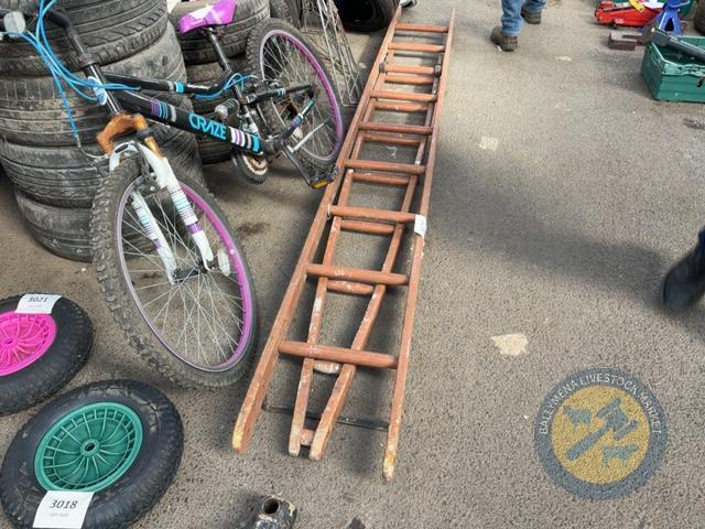 Tree Trimming Ladder