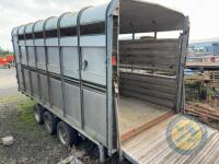 Ifor Williams 14ft Cattle Trailer with Cattle Dividing Gate - 9