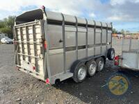 14ft Triaxle Cattle Trailer with Lights & Brakes, Sheep Decks & Dividing Gates - 7