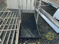Cattle Hoof Trimming Crush - 3