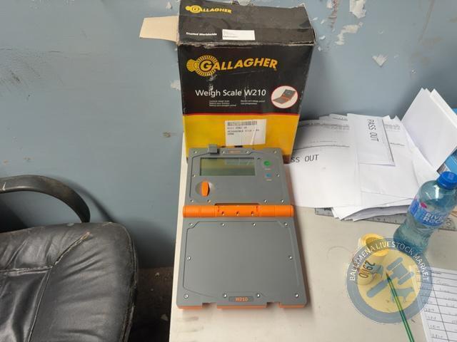 Gallagher weigh scale W210 for cattle crush in box