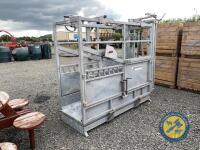 Cattle crush/weighbridge/foot trimming crush - as new - 6