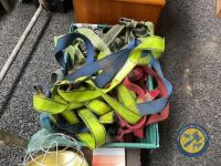 Tray of harnesses - 2