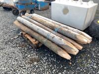 10x 8ft strainers - 2