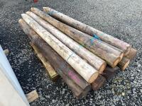 10x 8ft strainers - 4