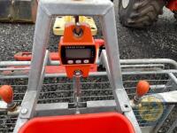 Ritchie digital lamb weigher - 3